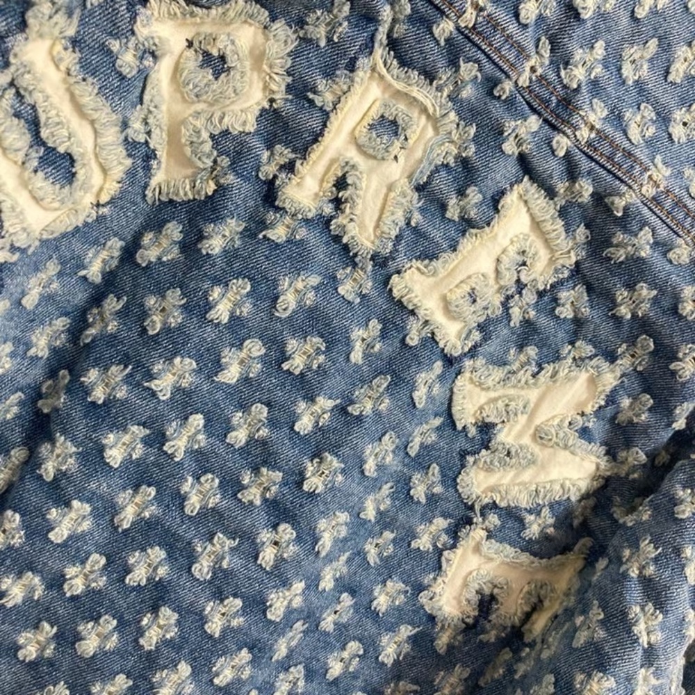 Supreme Blue Patterned Denim Jacket - image 7